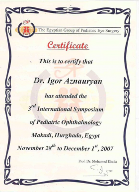 Сертификат. 2007 год